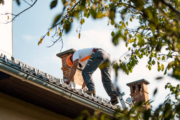Best Roof Repair Specialists  in Bushyhead, OK