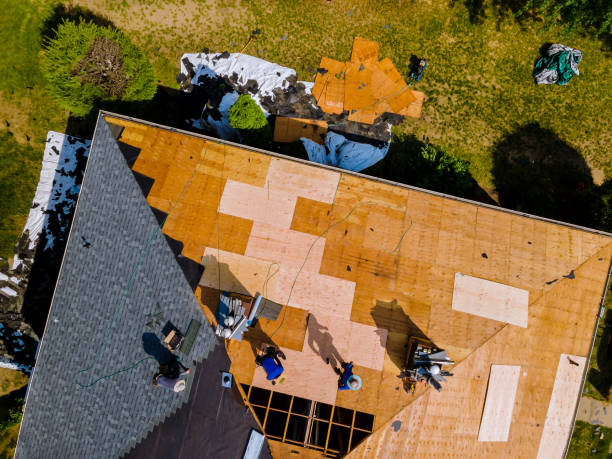 Best Flat Roof Repair Services  in Bushyhead, OK