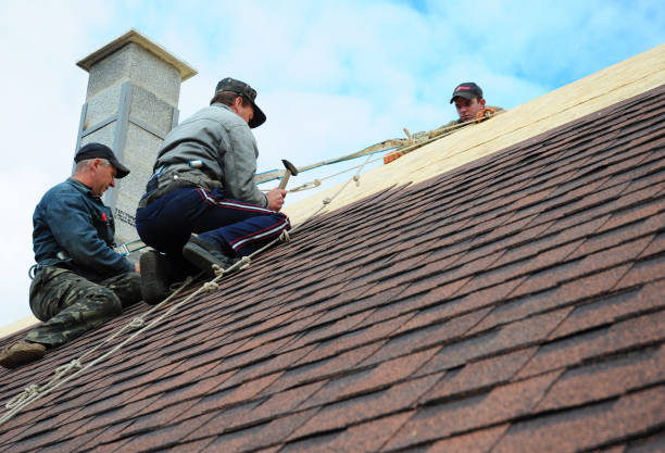 Best New Roof Installation  in Bushyhead, OK