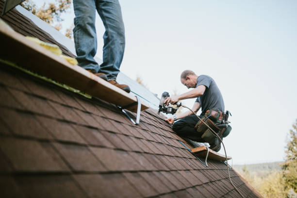 Best Emergency Roof Repair  in Bushyhead, OK