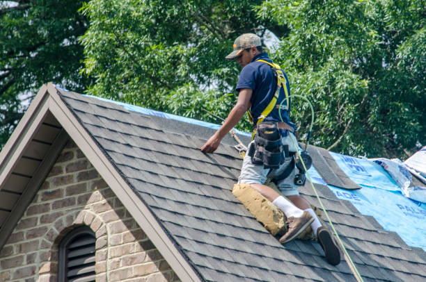 Best Roofing Contractor Near Me  in Bushyhead, OK
